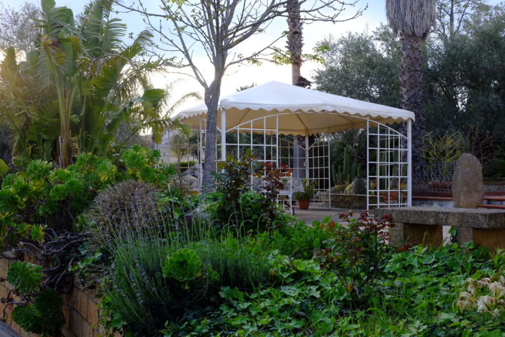 243EB205-E4B6-4EF7-9401-7894EB11D8FF_1_105_c